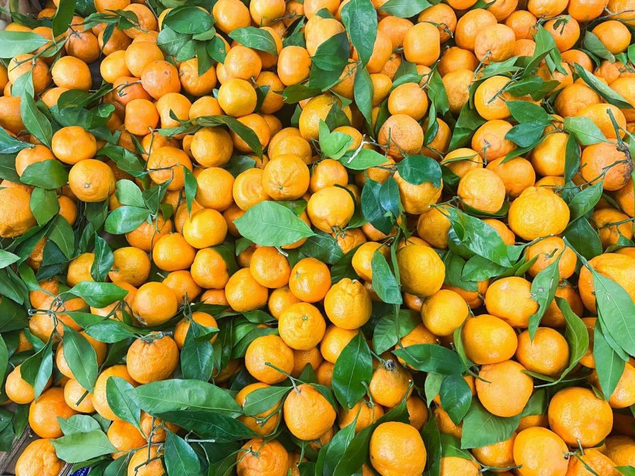 Mandarin Oranges